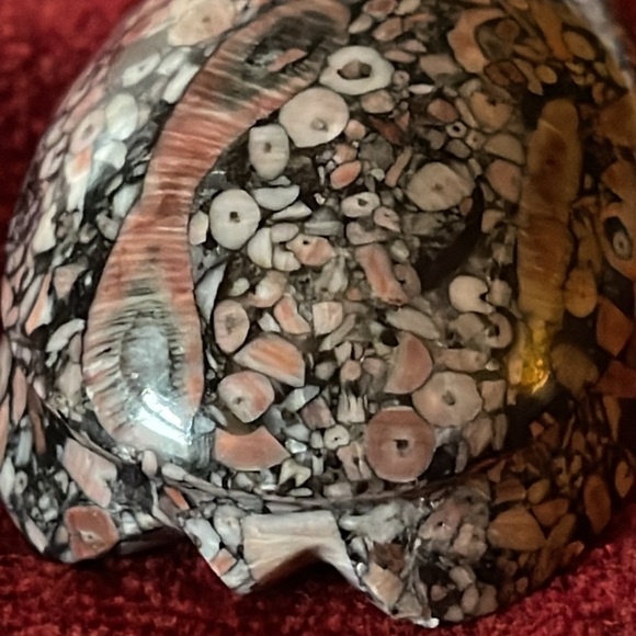 Vtg Crinoid Fossil Carved Turtle Sculpture, Small Paperweight, Collectable Stone - Picture 4 of 5